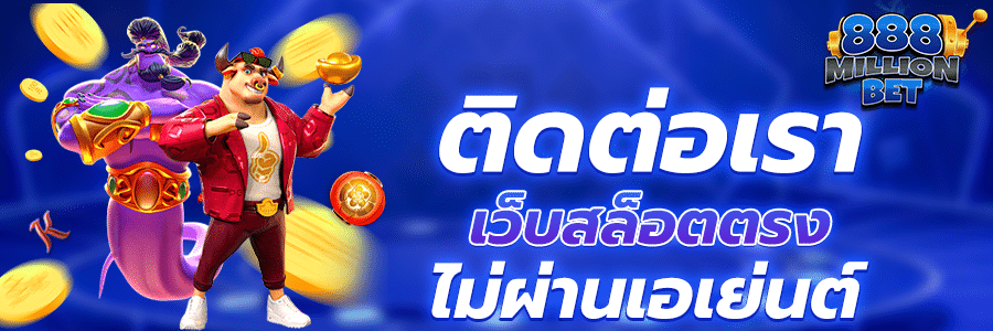 ติดต่อเรา